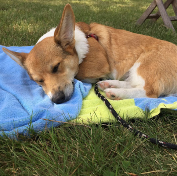 Meet your Posher, Stacy - Picture 1 of 1